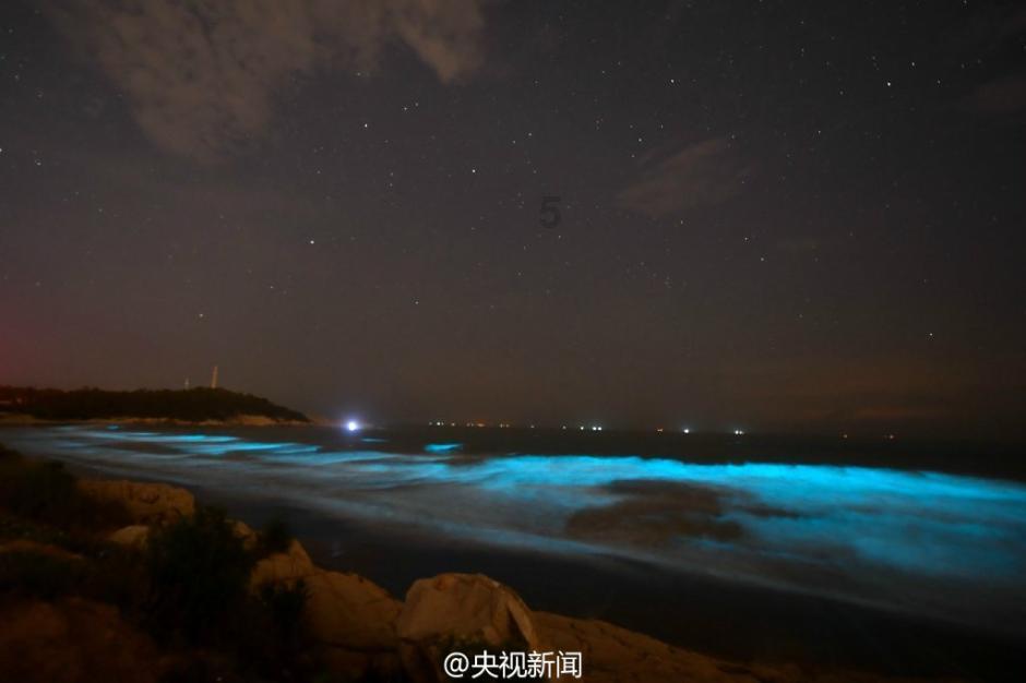 万词王