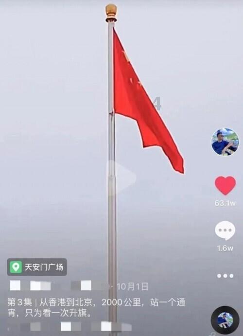 奔跑的兔子