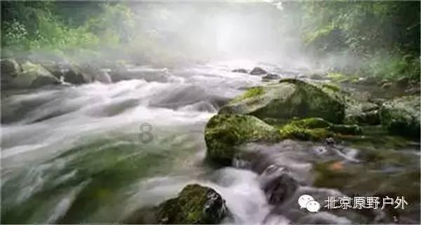琴覆天下